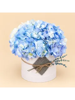 Blue Hydrangea Box