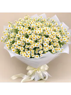 Chamomile Cloud Bouquet