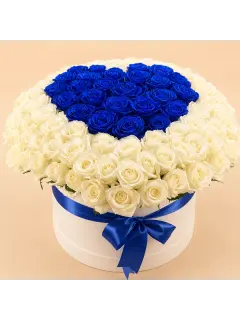 Heart Blue & White Roses