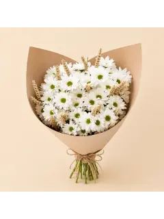 White Daisy Bouquet