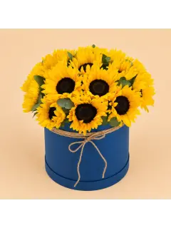 Sunflowers in Blue Box
