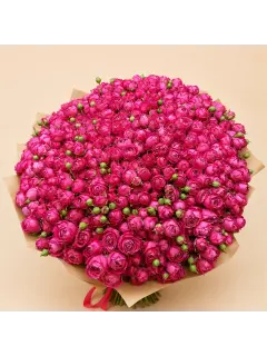 101 Magenta Roses