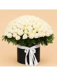 101 White Roses Black Box