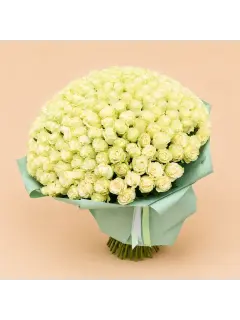 201 White Roses