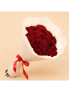 Classic Red Roses