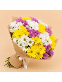 Tricolor Chrysanthemums