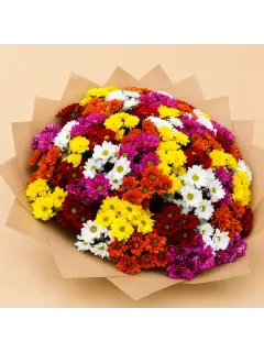 Mixed Chrysanthemums
