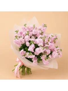 Pink Stock Flowers