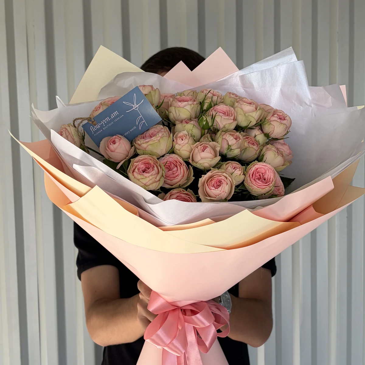Peach Pink Peony Roses