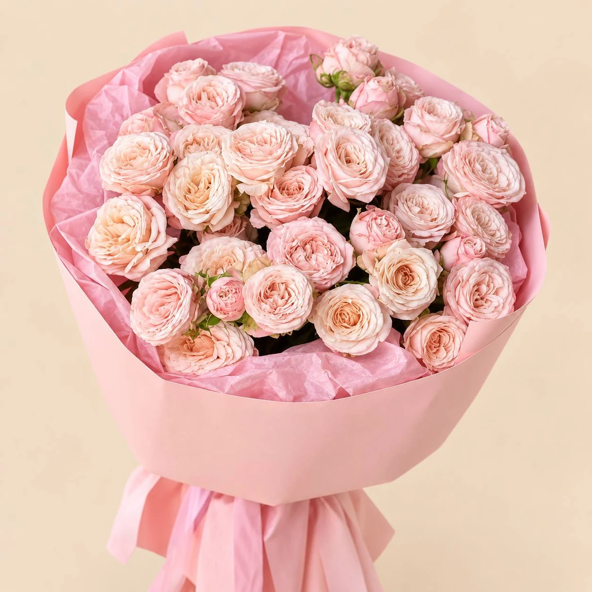 Tender Pink Spray Roses